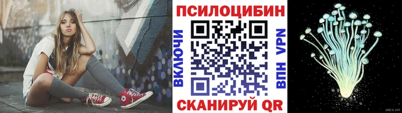 цены   Пудож  Псилоцибиновые грибы прущие грибы 